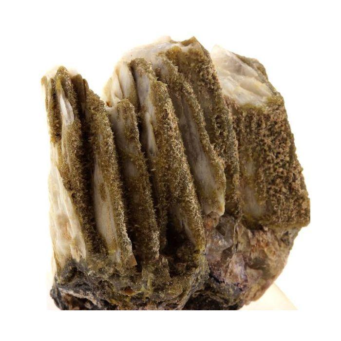 Wulfenite, Mimetite, Baryte, Fluorite 334.6 carats