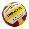 Official Size5 Volleyball  Wear-resistant Waterproof Adhesive Volleyball Adults Indoor Outdoor High Rebound Team Training Ball