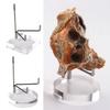 Adjustable Easel Shelf 60*90MM Easel Shelf With Acrylic Base Stainless Steel Clear Acrylic Base Customizable Width