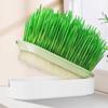 Pet Cat Grass Digestion Growing Tray Starter Dish Greenhouse Cat Germination Nursery Grass Hydr K2J3