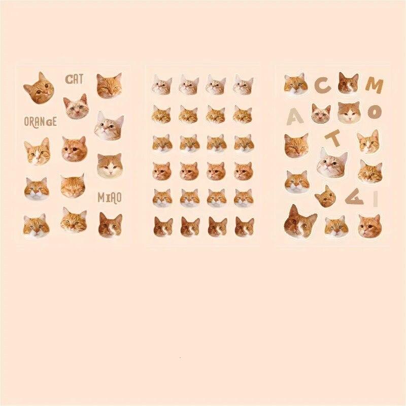 3 Piece Lovely Cat Sticker Real Shot Kawaii Cat Stationery Sticker DIY Decorative Scrapbook Cat Sticker Cute Student Supplies