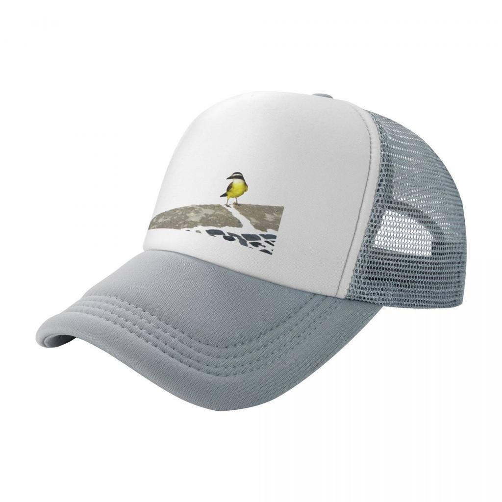 Pitangus sulphuratus  Great kiskadee Baseball Cap Unique hats Luxury Hat Ball  Mens  Womens