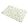 Nishikawa Wedgwood Down Half Blanket, 150x100cm, Washable, 50% White Duck Down, Wild Strawberry Pattern, Soft, Made In Japan, Green, AA77600003