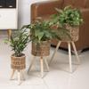 Suport de flori de interior, de podea: Suport pentru plante țesut din lemn masiv și ratan pentru living sau balcon