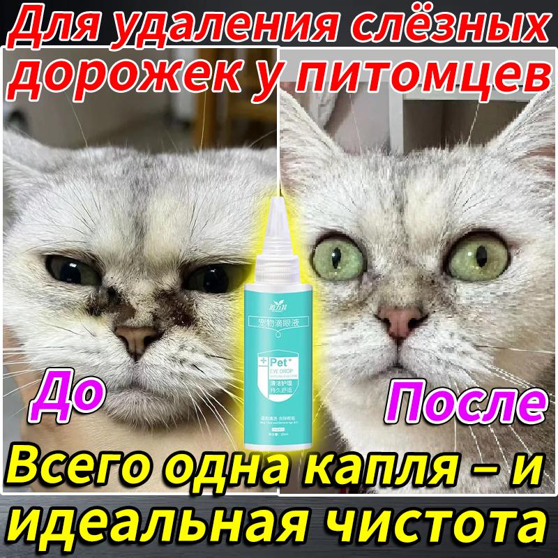 

Antibacterial Cat Eye Drops 60ml Safe Gentle Solution for Eye Infections Kitten Adult Cat Chinese Product