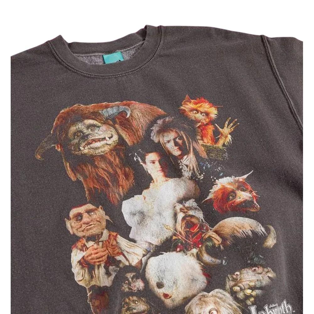 Labyrinth Unisex Adult Characters Vintage Wash Sweatshirt