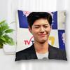 Hot Sale Custom Decorative Pillowcase Park Bo Gum Square Zippered Pillow Cover Best Nice Gift  35X35cm 45x45cm