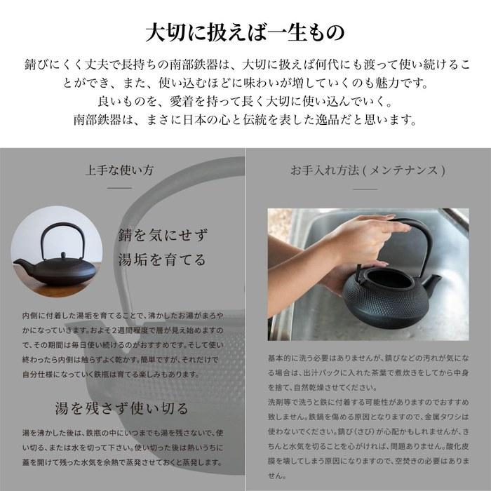 [Rojiasoshietsu] Japanese Cast Iron Teapot (Arare / Black / 0.6L)