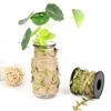 10m Leaf Rope String Natural Twine Leaf Ribbon Heavy Duty Hanging Rope for Wedding Decoration Gardening Accessories