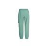 Stone Island FW22 Solid Color Logo Label Casual Sports Pants Men pants Light-Green 771561251-V0055