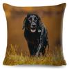 Cute Black Labrador Dog Double-Sided Printed Pillow Cover Short Plush Suitable Living Rooms Bedrooms Sofas Throw Cushion Cover