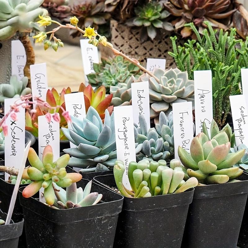 100pcs White Waterproof Plant Labels Non-Fading Plant Tags For Nursery Stakes Pot Outdoor Plant Weather Resistant Garden Markers