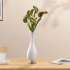 Practical Imitation Plant Non-fading Eco-friendly Create Vitality