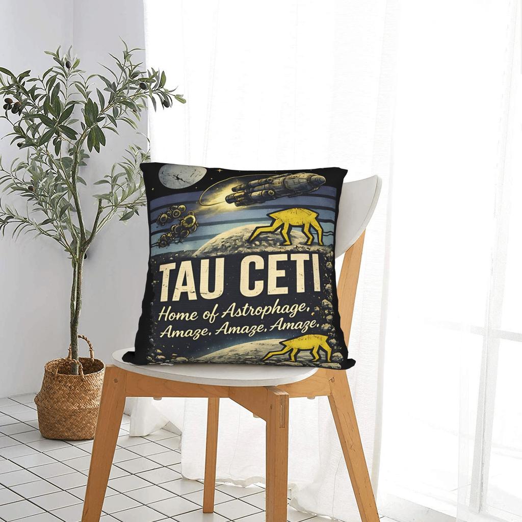 Project Hail Mary Pillow Case Custom Pillow Cover For Couch Sofa Bedroom Funny Pillowcases