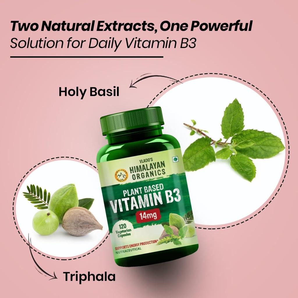 Vlado's Himalayan Organics Plant Based Vitamin B3 14 Mg Supplement 120 Veg Capsules For Skin Heart And Daily Wellness Support