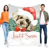 Cute Dog Blanket with Santa Hat Soft Plush Throw Cozy for Winter Holiday Home Decor Gift for Pet Lovers