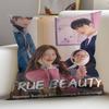 Korean TV True Beauty Pillow Gift Home Office Decoration Bedroom Sofa Car Cushion Cover Case 45x45