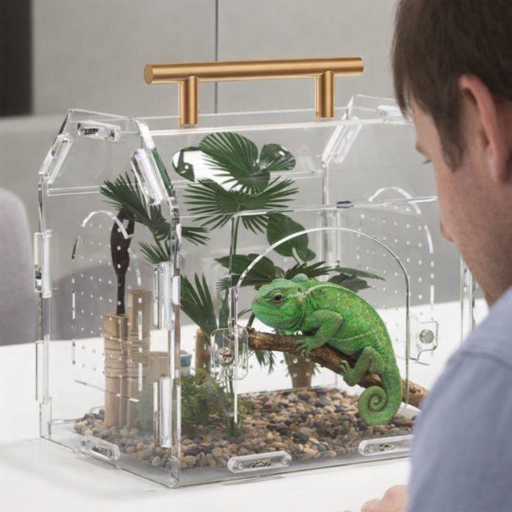 Magnetic Snap Closure Reptile Breeding Box Acrylic Spider Observation Box  Observation