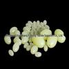 Oval Fluorescent Fishing Beads: Luminous Stopper & Space Beads In Soft and Hard Variants for Sea Fishing.