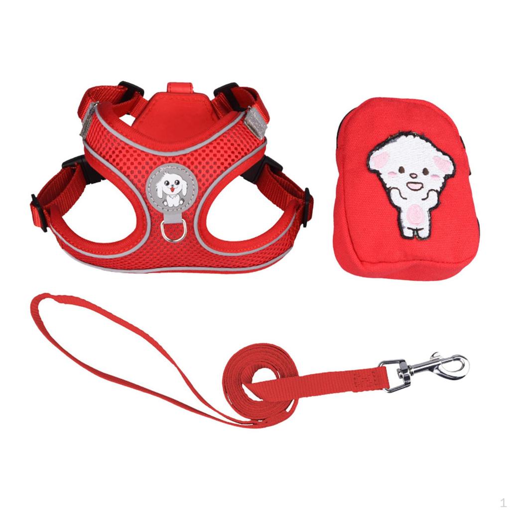 Pet Harness and Leash Combo for Enjoyable Outdoor Adventures