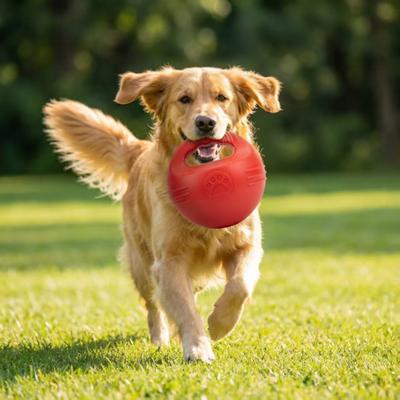 Weiche Kettlebell Schwimmender Hundespielzeug Bissfestes Plastik Apportierball für Pool und Land Zahnpflege-Textur Sicher Interaktives Trainingsspielzeug für Hunde