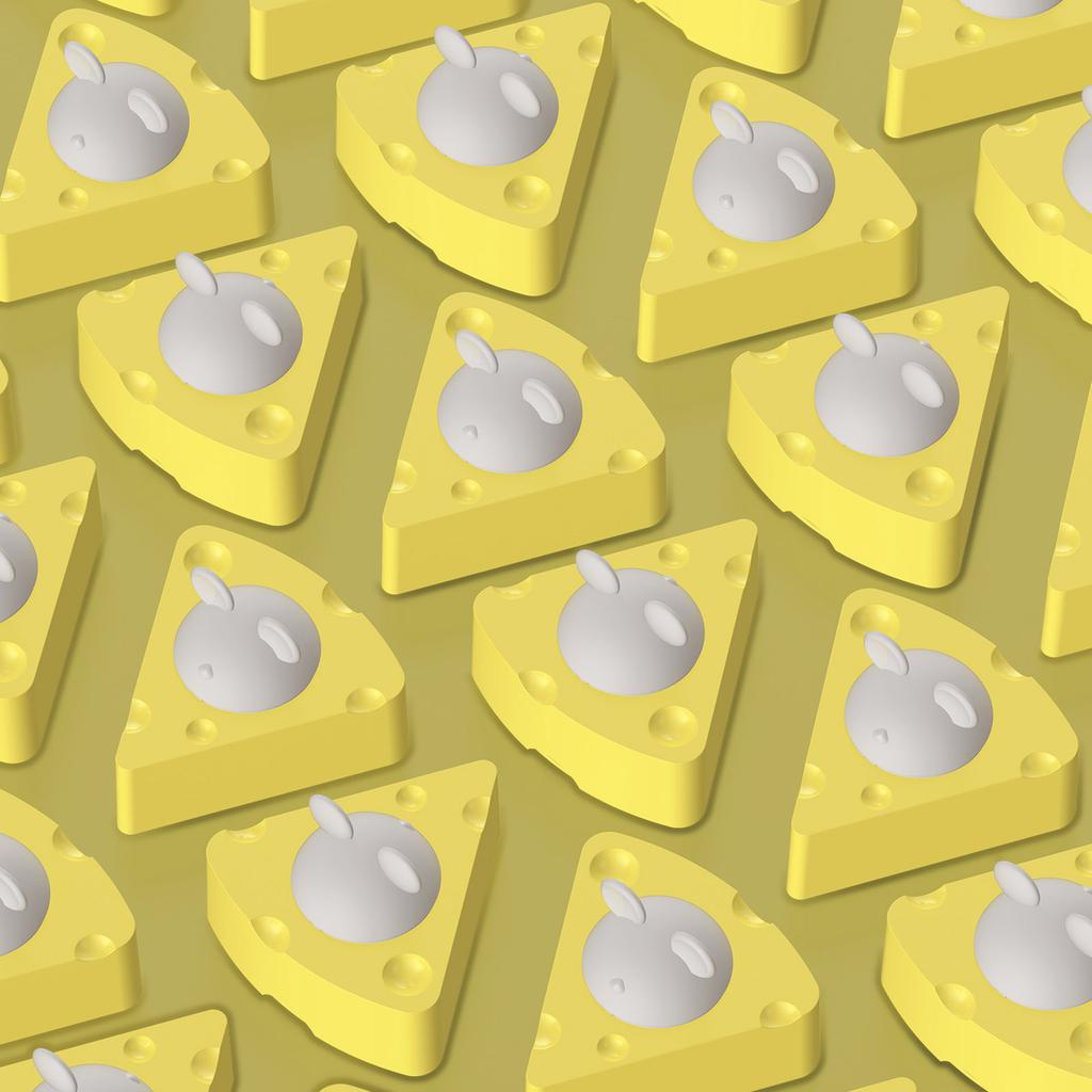 Cheese Shape Catmint Ball for Cats Stick On Floor or Wall Portable Catmint Toy for Indoor Cats Lick Catmint Organic Ball