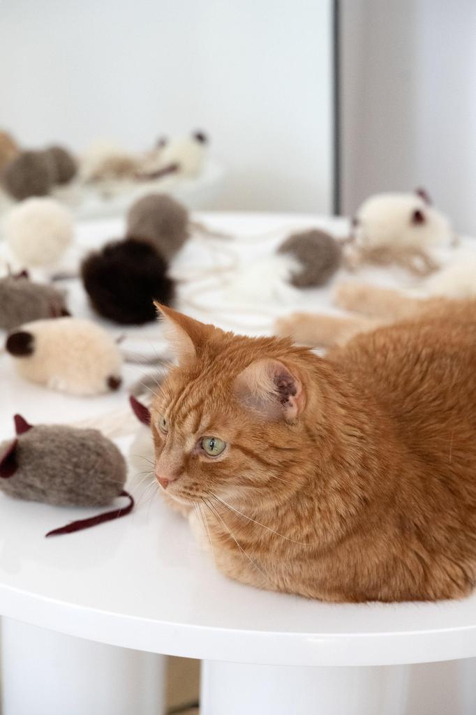 Natural Woolen Cat Toy: Mouse String
