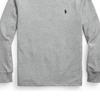 Polo Ralph Lauren Logo Embroidered Solid Color Crew Neck Long Sleeve Sweater Kids sweater Gray 323854677-069