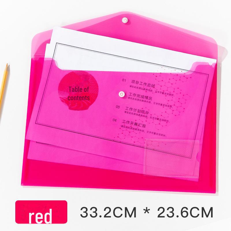 

Прозрачная полипропиленовая папка формата А4 с этикеткой и застежкой-кнопкой для хранения и организации документов A4