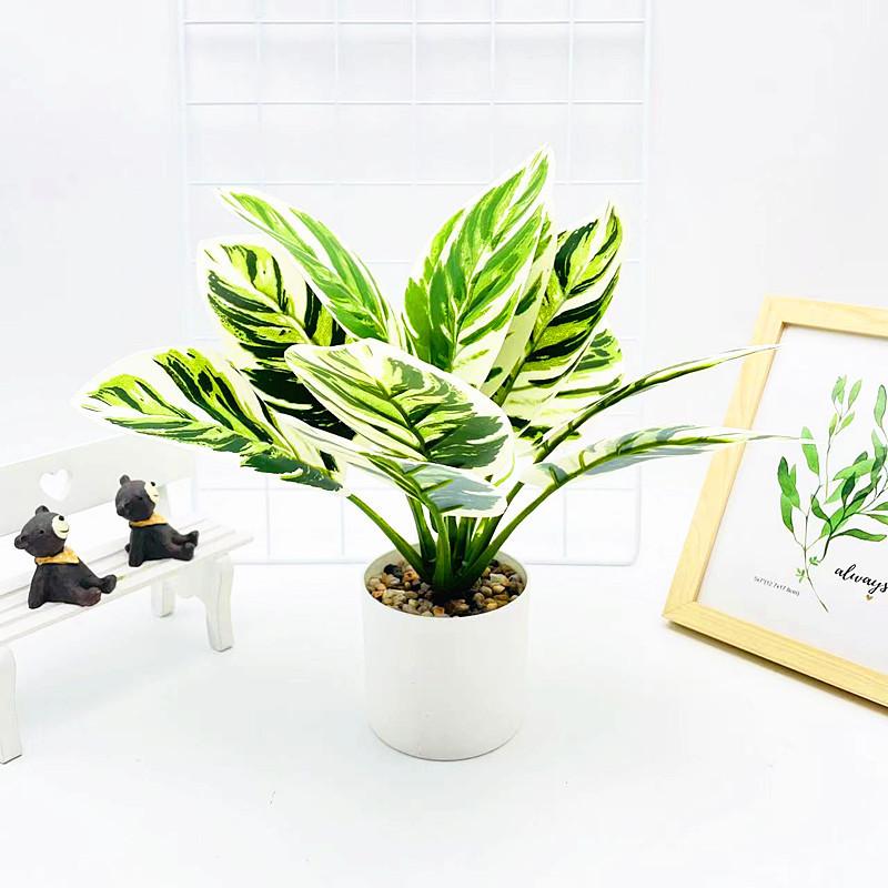 Simulated Epipremnum Aureum And Dasheen Leaves Potted For Home And Events