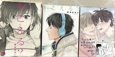 [GEBRAUCHT] Sonderausgabe: Können Sie mich hören? Aoi Hashimoto | Limitierte Ausgabe Broschüre + Animate-Bonus enthalten