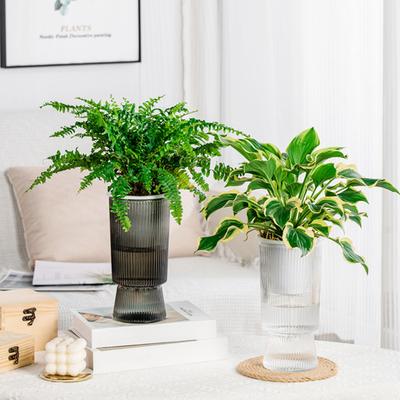 Self Watering Planter Pots African Violet Pots for Indoor Outdoor Windowsill Garden Modern Plastic Plant Pot with Wick Rope And