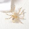 Brooch Exaggerated Spider Jewelry Set Pin Insect Ear Studs Vintage Spider Necklace  Party