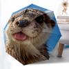 1 Stück Otter, Süßer Automatischer Öffnungs-/Schließschirm - Kompakter Reiseschirm mit 8-Speichen-Stabilem Gestell, Leichtes & Tragbares Design z30