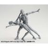 Tamashii Nations S.H. Figurearts Body-chan DX Set Gray Color Ver. Movable Figure 135mm ABS PVC
