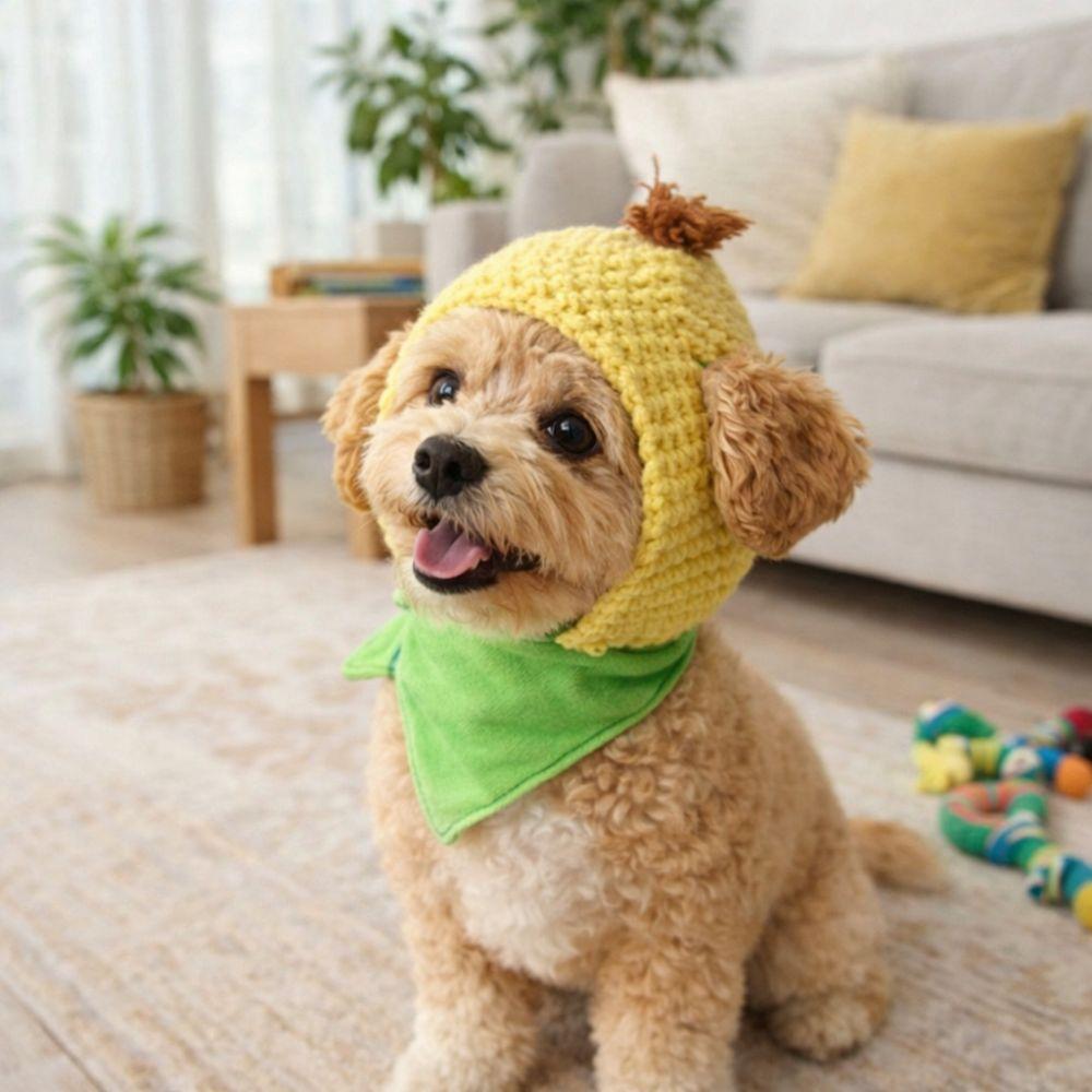 Cute Winter Dog Cap Funny Pet Headgear Pet Supplies Pet Corn Hat  Training