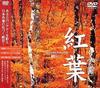DVD  - Autumn Leaves - Maple  SDA37 Japan Movies & DVD Used