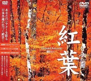 

DVD - Autumn leaves - Maple SDA37 Japan Movies & DVD Used
