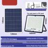 Full Sky Star Solar Outdoor Floodlight