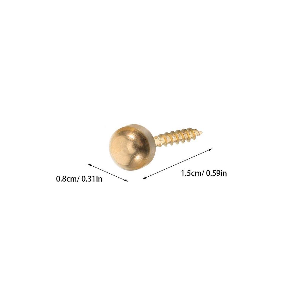 16Pcs Decorative Copper Screw Caps Self Tapping Screws for Wall Mirror Furniture Fixing Hardware Self-Tapping Screw with Cover