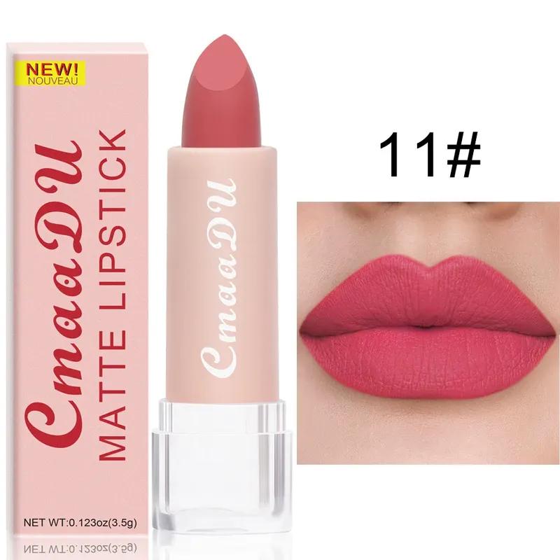 Batom Marrom Nude Matte 15 Cores À Prova D'água Gloss Labial Rosa Duradouro Não Cola Copo Sexy Vermelho Rosa Veludo Batons Maquiagem Feminina