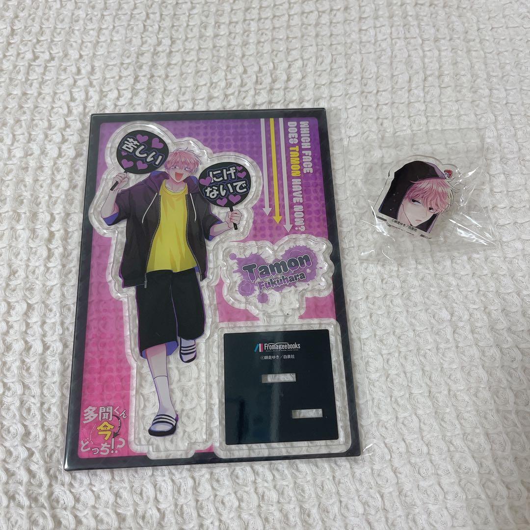 [USED] Which side is Tamon on now!? Acrylic Stand - Fukuhara Tamon - Paid Bonus Item - Volume 16 - Melonbooks