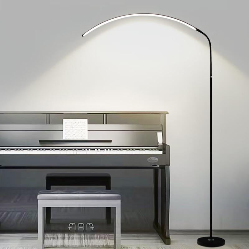 Rechargeable Piano & Study Floor Lamp