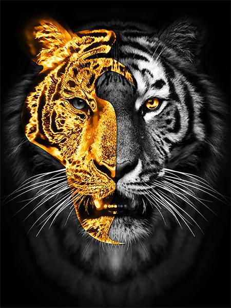 5d Diamant Malerei voller Bohrer Tiger Löwe Quadrat/Runde Stickerei Kreuzstich Tiere Mosaik Kristall Home Decor