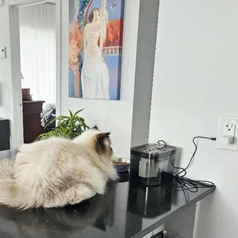Pet Water Fountain 1.5L Auto Filter Transparent Cat Drinker USB Recirculate Filtering Water Dispenser with Pump Pet Drinking