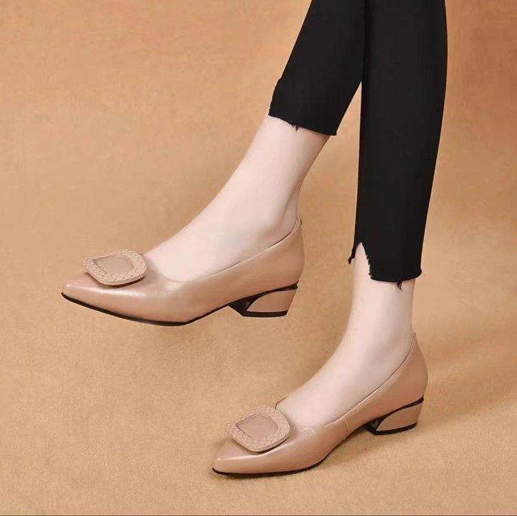 Soft Leather Single Shoes Women's Shallow Mouth Pointed Thick Heel Women's Shoes 2025 New Versatile Mother Shoes Autumn Small Leather Shoes Tide