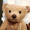[USED] Steiff Teddy Bear Johnny