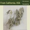 North American Blue Sage Cedar Incense Stick for Meditation and Prayer