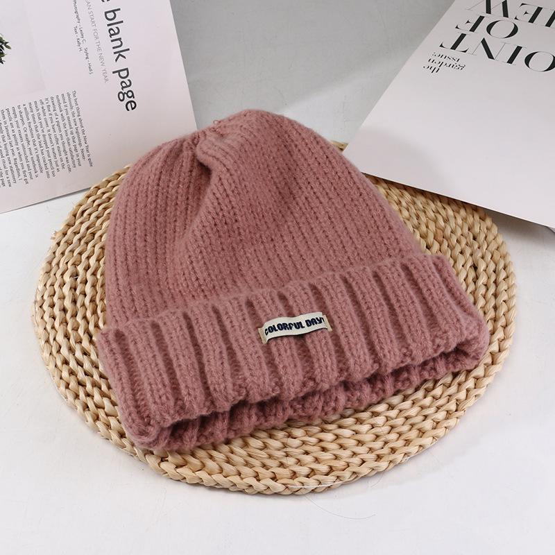 Women's Autumn and Winter New Big Head Circumference Warm Knitted Hat Korean Style Student Face Small Ear Protection Cold Hat Pile Hat