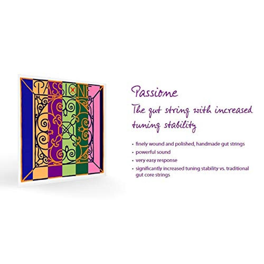 PIRASTRO PASSIONE Violin string for 44 G 2194 GutSilver winding